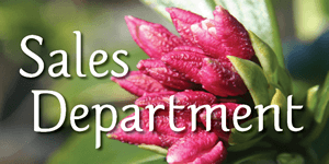 Devil Mountain Nursery